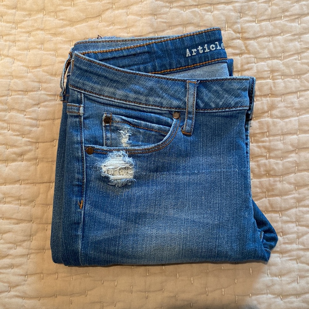Articles of Society Skinny Frayed Hem Jean